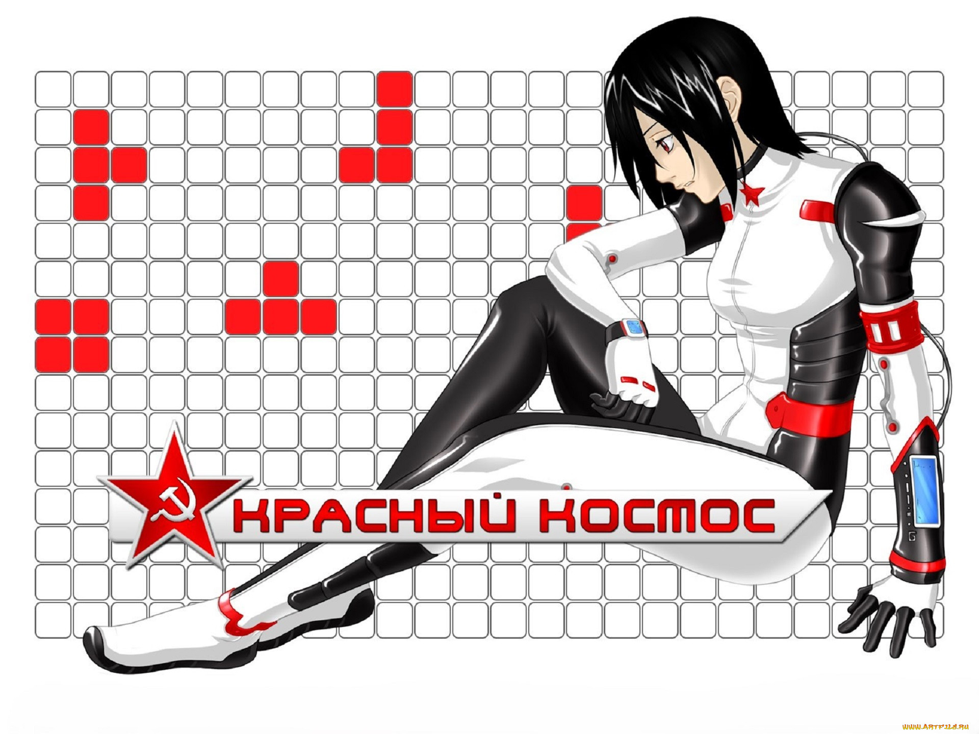  ,   , red cosmos, , , , 